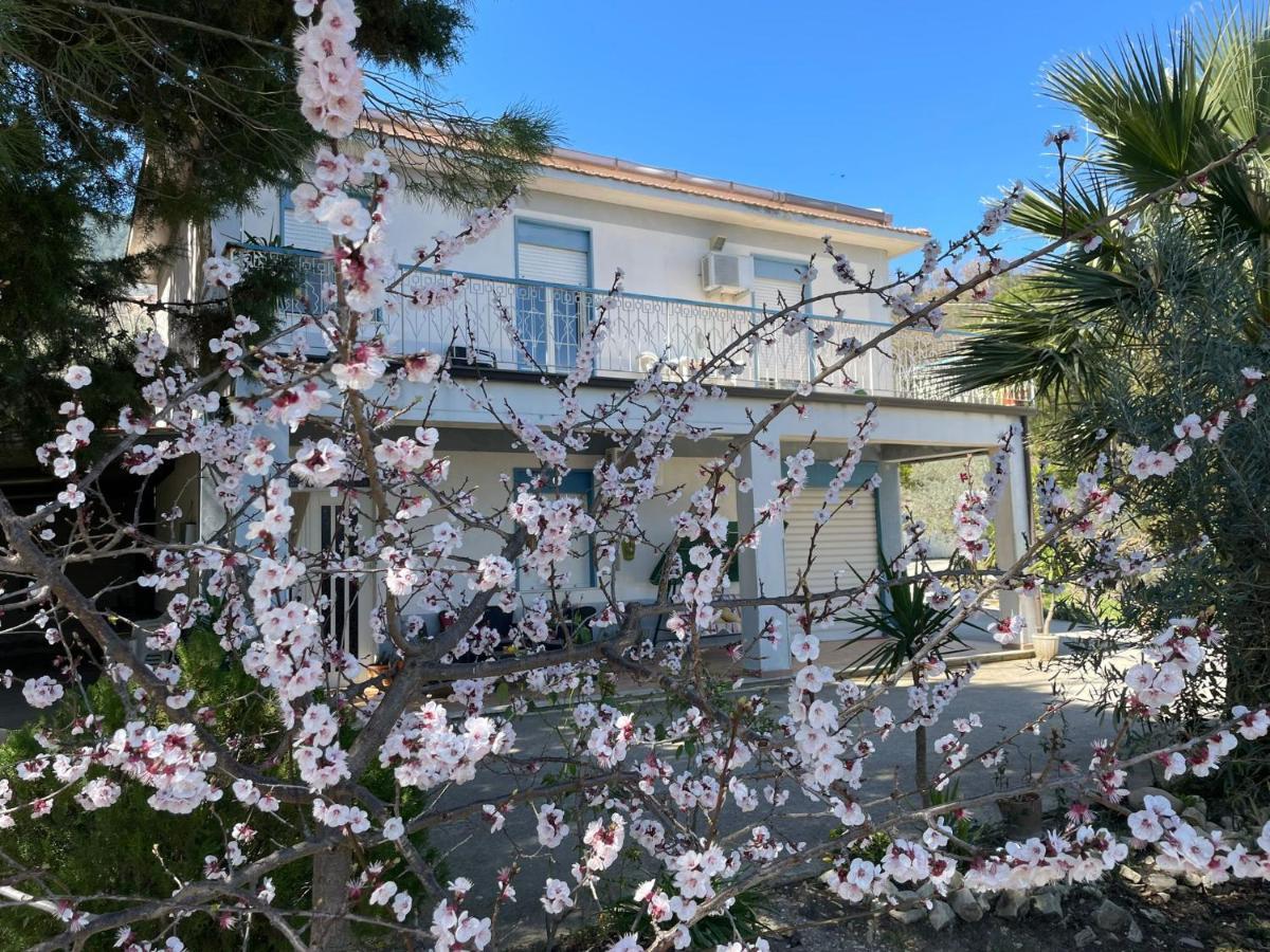 Valateddi Villa Cammarata Eksteriør bilde